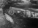 souvenirs en noir et blanc (591)